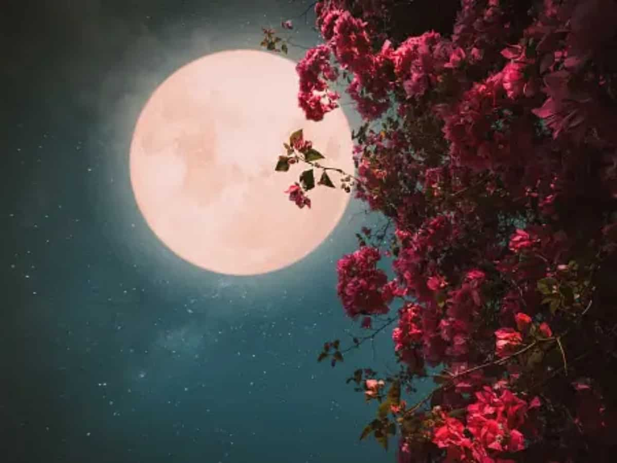 Full moon april 2024 meaning